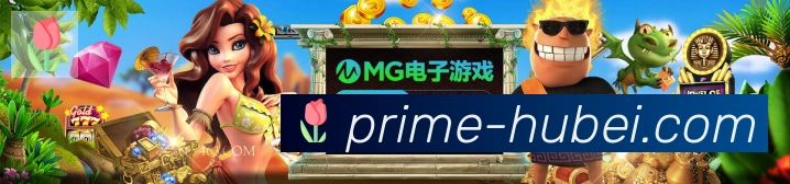 奖项证书